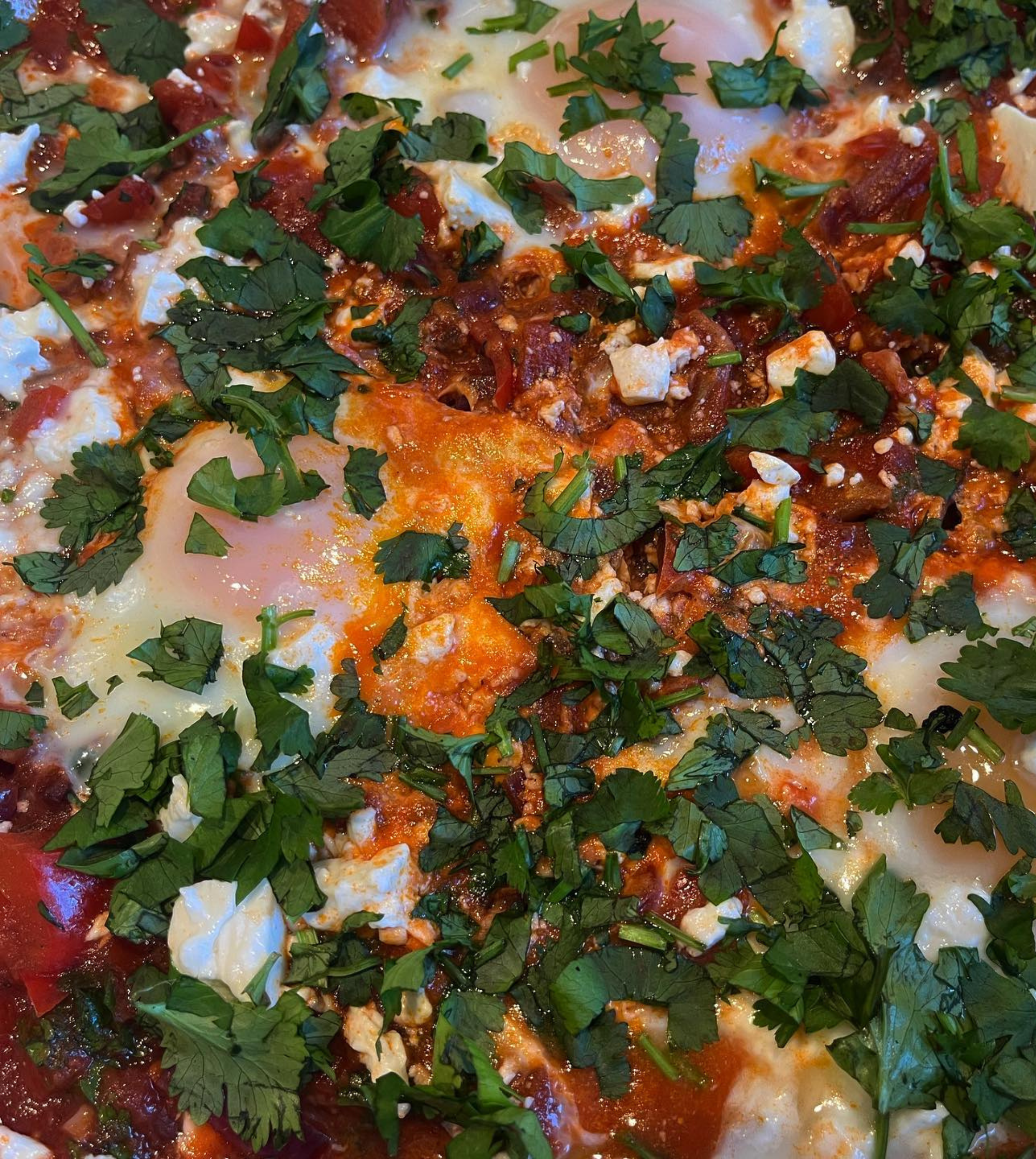 Gut-loving Shakshuka