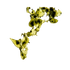 Microalgae Complex