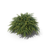 Vitamin K2