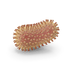 Microbiome Complex